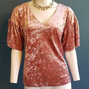 NWT Peach Pink Emma Flutter Sleeve Velvet Top - L